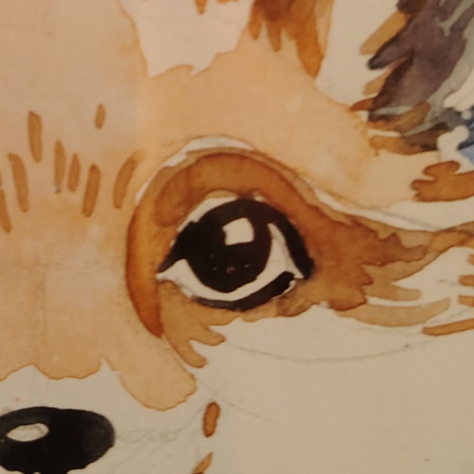 Gemaltes Auge eines Fuchses als Sinnbild für den optischen Eindruck von Hompage und Drucksorten; Credits: Inna Tumarkin