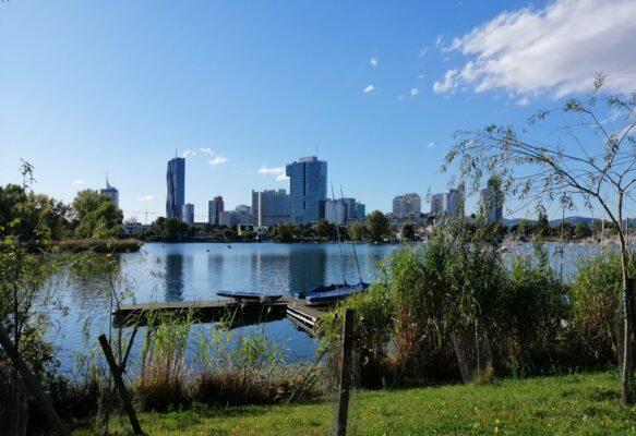 Vom Traum zum Erfolg